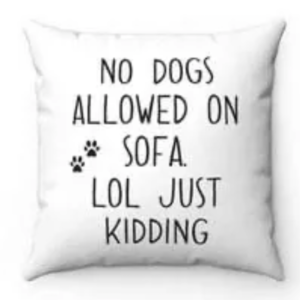 No Dogs Allowed On Sofa. Lol Just Kidding