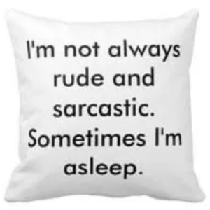 I’m Not Always Rude And Sarcastic. Sometimes I Am Asleep.