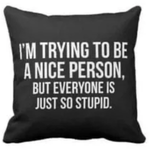 I’m Trying To Be A Nice Person But Everyone Is Just So Stupid Pillow