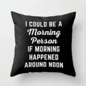 I Could Be a Morning Person If Morning Started at Noon