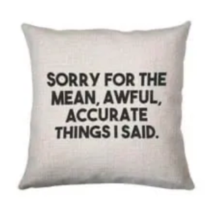 Sorry For The Mean, Awful, Accurate Things I Said